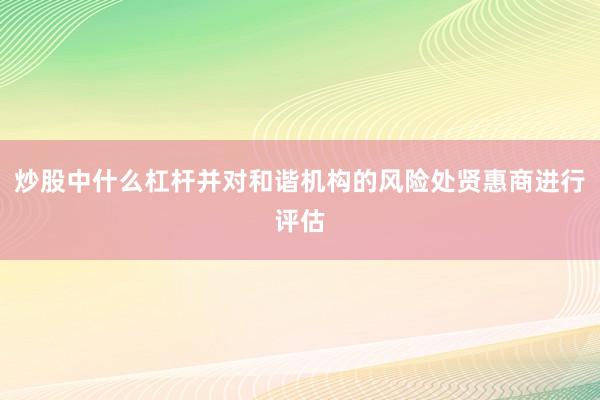 炒股中什么杠杆并对和谐机构的风险处贤惠商进行评估
