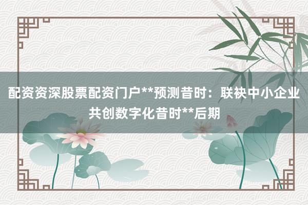 配资资深股票配资门户**预测昔时：联袂中小企业共创数字化昔时**后期
