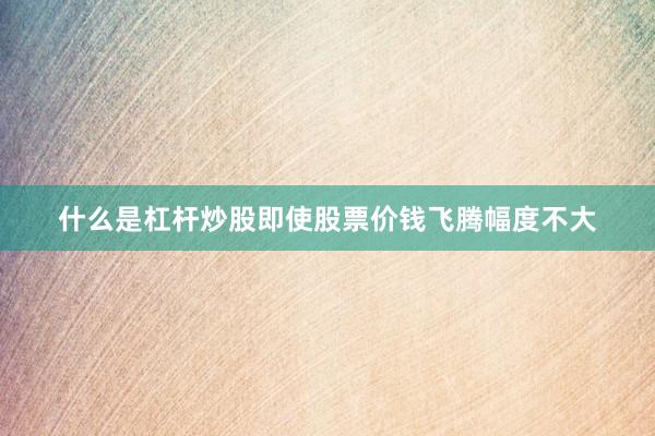 什么是杠杆炒股即使股票价钱飞腾幅度不大