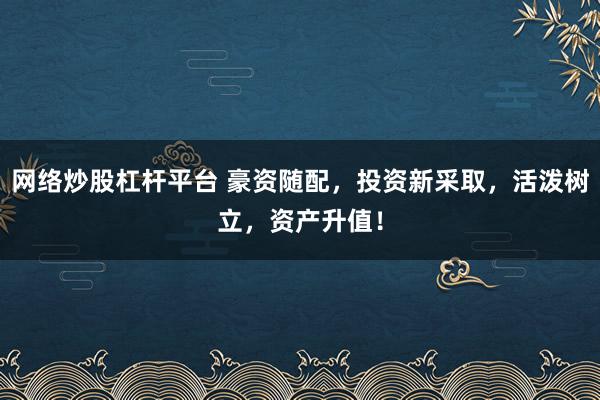 网络炒股杠杆平台 豪资随配，投资新采取，活泼树立，资产升值！