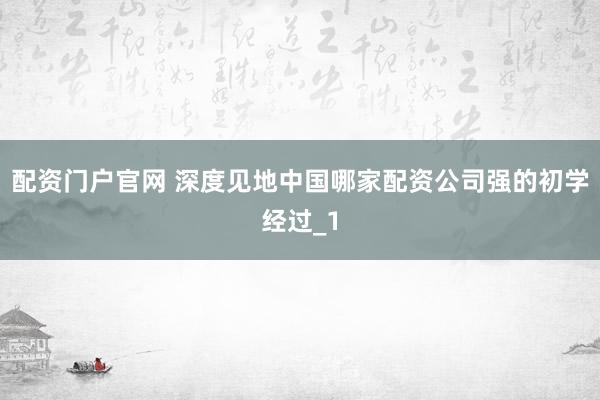 配资门户官网 深度见地中国哪家配资公司强的初学经过_1